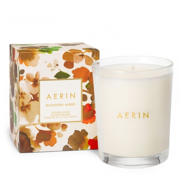 Свеча ароматизированная Buckhorn Amber 18121003 AERIN