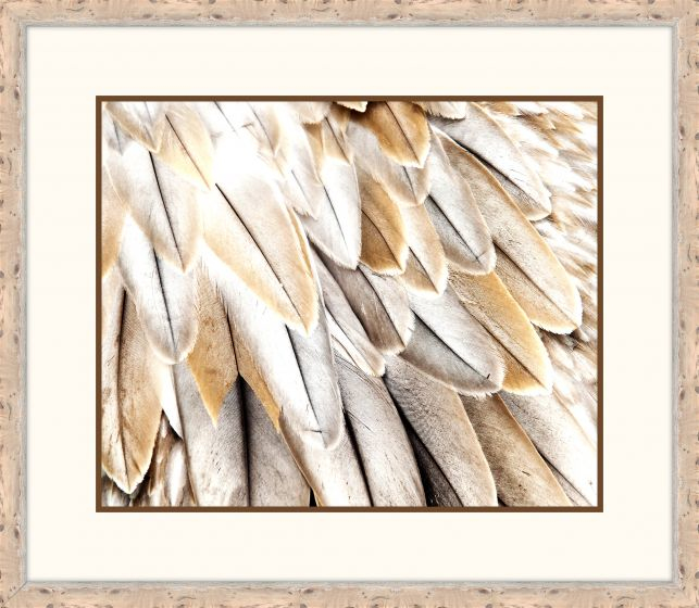Художественный принт  Feathers I IP13835 Iconic Pineapple