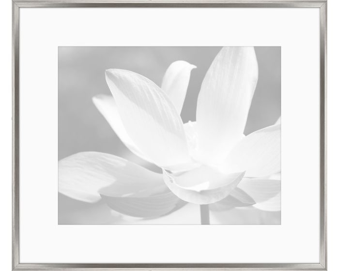 Художественный принт  Gray Flowers IV IP10445 Iconic Pineapple