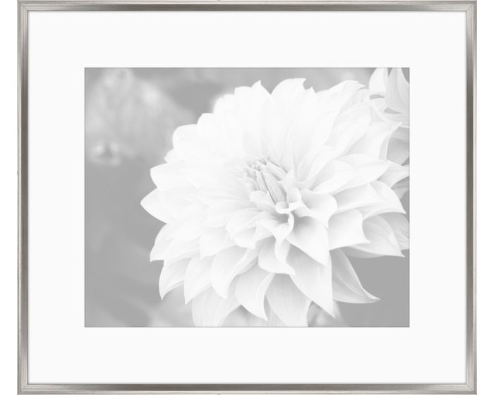 Художественный принт  Bittner Gray Flowers II IP10443VIS Iconic Pineapple