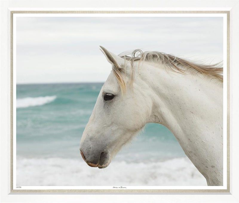 Художественный принт Horse on Beach TL530-G-1-612L Trowbridge